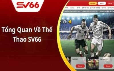 SV66 Sports Promotions