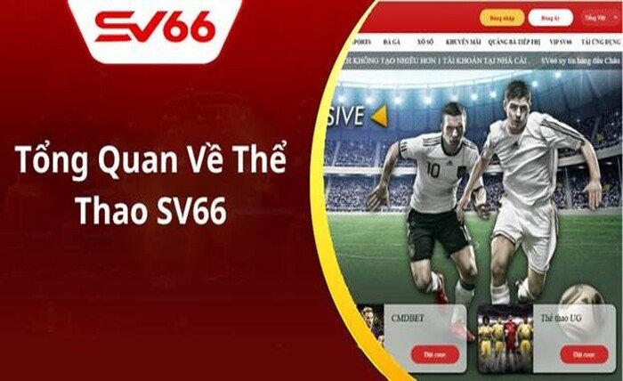 SV66 Sports Promotions